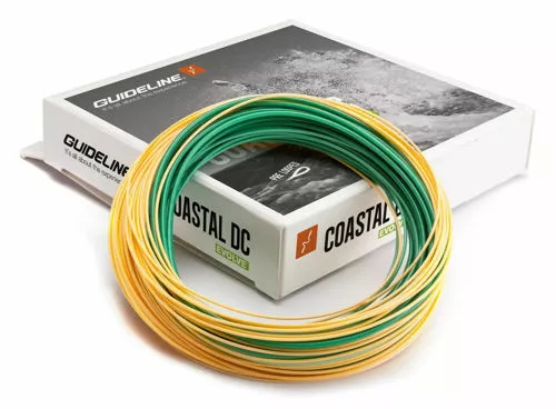 Guideline COASTAL Evolve WF #6 FAST INTERMEDIATE 1 Guideline COASTAL Evolve WF #6 FAST INTERMEDIATE